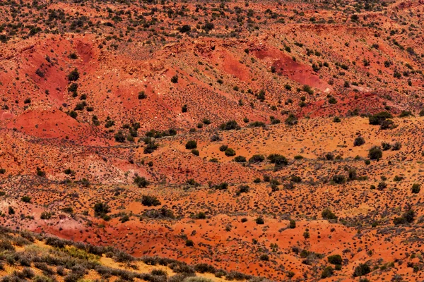 Malovaná poušť žluté trávy přistane oranžové pískovcové červená ohnivý kožešina — Stock fotografie