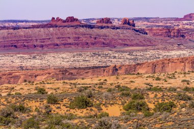 Sarı çim moab suçu arches Ulusal Parkı moab utah toprakları