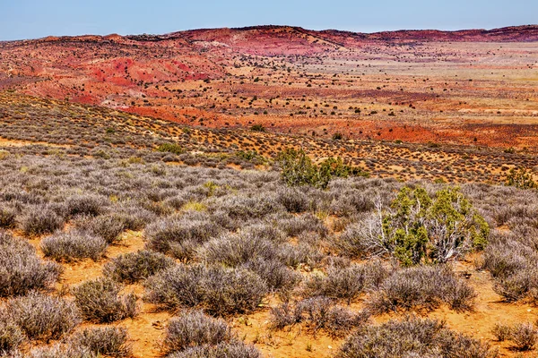 Bemalte Wüste gelbes Gras landet orange Sandstein rot feuriges Fell — Stockfoto