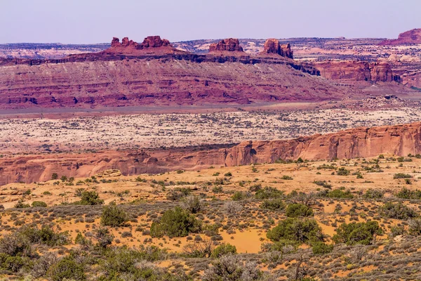 Gelbes Gras landet Moab-Verwerfung Bögen Nationalpark Moab utah — Stockfoto