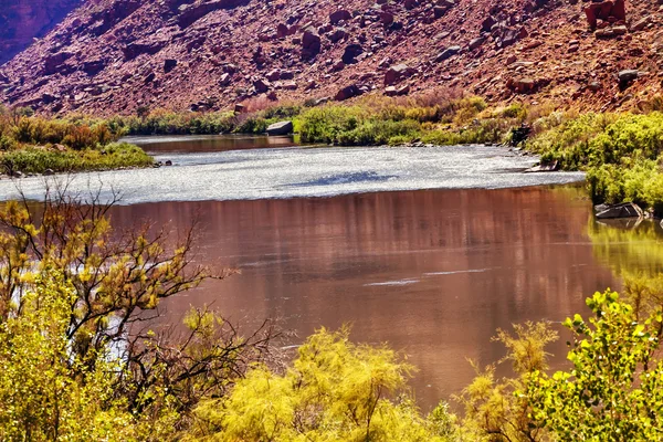 Red Brown Colorado River Reflexão Abstract Rock Canyon Amarelo — Fotografia de Stock
