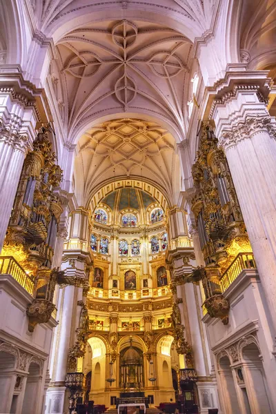 Basilica Stone Columns Stained Glass Cathedral Andalusia Granada — Stock Photo, Image