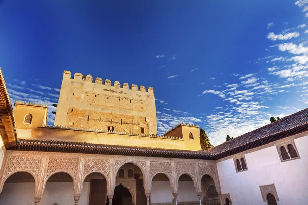 Alhambra myrte hof maurische mauer designs granada andalusia — Stockfoto