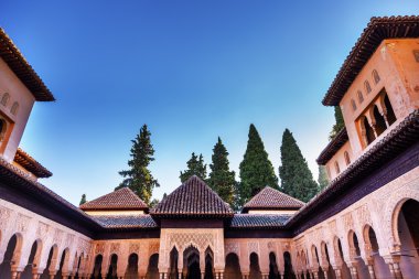 Alhambra Endülüs avlusu aslanlar granada Endülüs İspanya