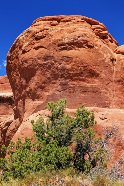 Tuin gnome rots vorming canyon arches nationaal park moab uta — Stockfoto