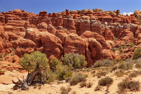 Horno de fuego Hoodoos Rock Canyon Arches National Park Moab Utah — Foto de Stock