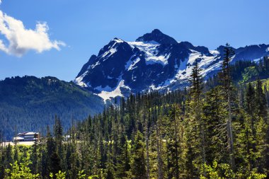 Mount shuksan herdem yeşil baker Dağı Kayak alanı washington