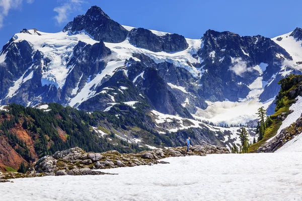 Hiking Snowfields Artist Point Glaciers Mount Shuksan Washington — Stock Photo, Image