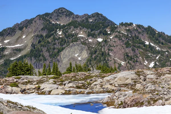 Montanhas Vermelhas Pequena Piscina de Neve Azul Ponto Artista Estado de Washington — Fotografia de Stock
