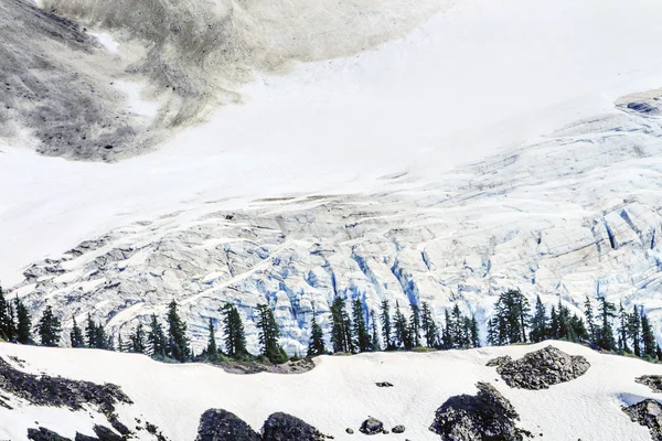 Glaciar Mount Shuksan Primer plano Evergreens Artist Point Washingto — Foto de Stock