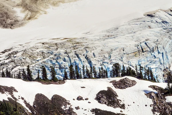 Mount Shuksan Glacier Close Up Evergreens Artist Point Washingto — Stock Photo, Image