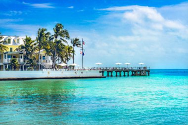Renkli Higgs Anıtı Plaj Parkı Palmiye Ağaçları Mavi Su Anahtarı Batı Florida