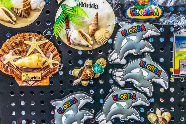 Augustine Florida March 2021 Colorful Florida Magnets Turtle Shells Beach — Stock Photo, Image