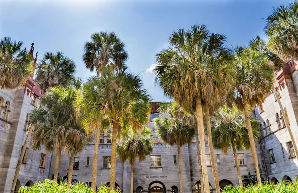 Udvar Palm Trees Városháza Augustine Florida Eredetileg Alcazar Hotel Alapította — Stock Fotó