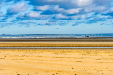 At Arabaları Somurtkan Koşum Yarışları Çok Büyük Utah 2. Dünya Savaşı Normandiya Sahili Normandiya Savaşı, 