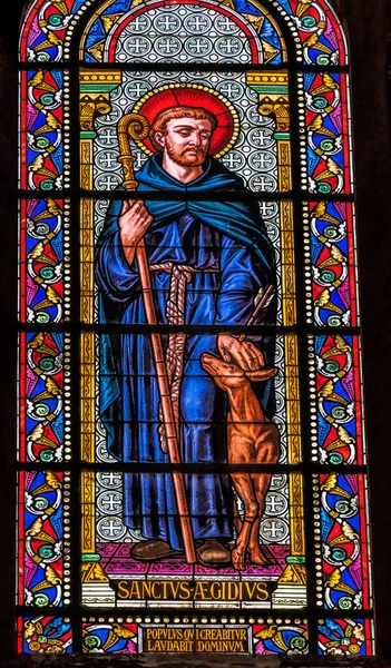 Nimes Franciaország December 2021 Saint Giles Aegidius Stained Glass Notre — Stock Fotó