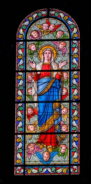 Nimes Frankrike Desember 2021 Virgin Mary Angels Farget Glass Notre – stockfoto