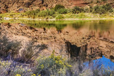 Sandy Sahili Nehir Erişimi Colorado Nehri Yansıması Soyut Yeşil Çimen Moab Utah ABD Güneybatı. 