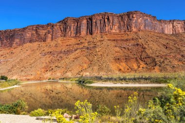 Sandy Plajı Erişimi Colorado Nehri Kırmızı Kaya Kanyonu Yansıması Yeşil Çimen Moab Utah ABD Güneybatı. 