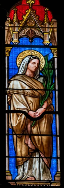 尼姆斯 Nimes 2021年12月30日 圣培土圣菲利奇教堂 Saint Perpetue Stained Glass Saint Perpetue — 图库照片