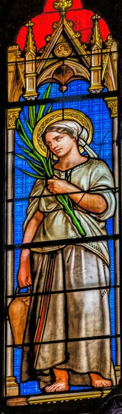 尼姆斯 Nimes 2021年12月30日 圣菲力西圣菲力西教堂 Saint Felicite Stained Glass Saint Perpetue — 图库照片