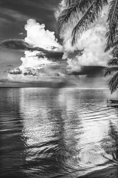 Black White Rain Storm Coming Cloudscape Beach Sunset Palm Trees — Stock Photo, Image