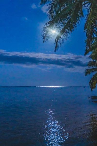 Luna Noche Reflexión Palmeras Muelle Azul Agua Moorea Tahití Polinesia — Foto de Stock