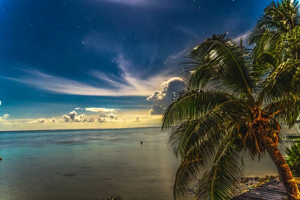 Moonlight Stars Clouds Night Coconut Palm Trees Pier Blue Water — Stok fotoğraf