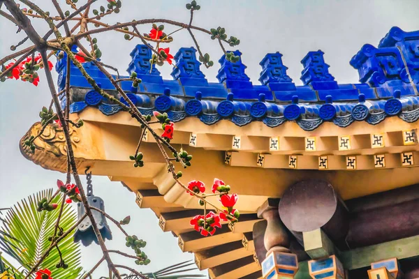 Red Bombax Ceiba Baumwollblumen Sun Yat Sen Memorial Guangzhou Guangdong — Stockfoto