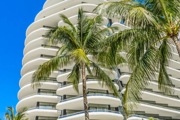 Palm Trees White Art Deco Multi Level Building Miami Beach — Stock Photo, Image