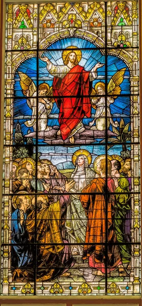 Miami Florida March 2021 Jesus Ascension Heaven Stained Glass Gesu — Stock Photo, Image