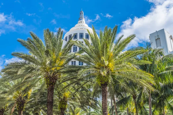 Palm Trees Art Deco Buildings Decorations 마이애미 Miami Beach 아름다운 — 스톡 사진