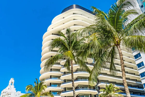 Palm Trees White Art Deco Multi Level Buildings Miami Beach — Stock Photo, Image
