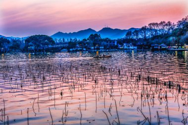 Pembe Yansımalı Tekneler Batı Gölü Hangzhou Yansıması Zhejiang Eyaleti Çin . 