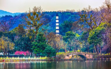 Eski Çin Beyaz Pagoda Liu Zhuang Pembe Erik Bahçesi Batı Hangzhou Gölü Yansıması Zhejiang Eyaleti Çin . 
