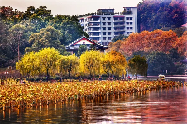 Antica Casa Cinese Acqua Lillies West Lake Hangzhou Zhejiang Cina — Foto Stock