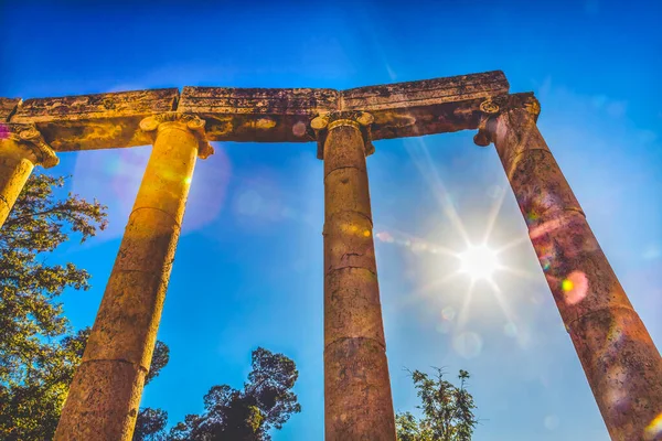 Ionic Columns Sun Oval Plaza Ancient Roman City Jerash Jordan — Foto de Stock