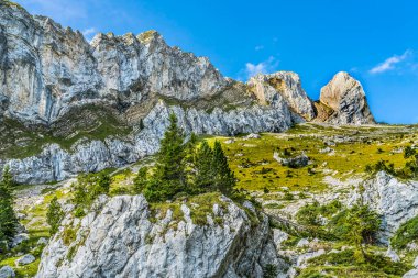 Rocky Cliffs Çayırları Pilatus Lucerne Dağı 'na tırmanıyor İsviçre Dağı' na tırmanıyor. Pilatus gözlem noktası