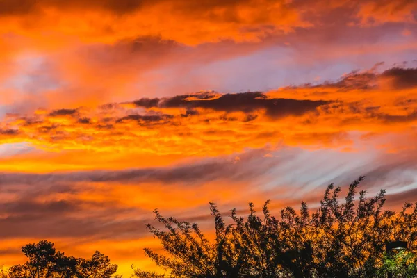 Barevný Západ Slunce Sonora Desert Tucson Arizona Usa Jihozápad — Stock fotografie