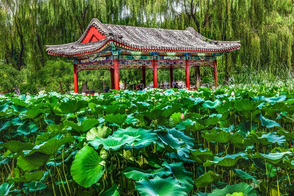 Roter Pavillon Lotus Pads Garten Tempel Des Sun City Park — Stockfoto
