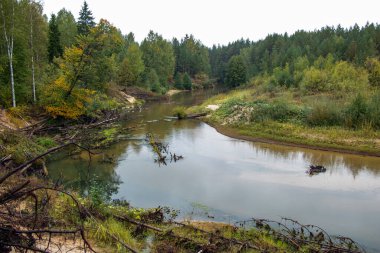 Küçük orman nehri, hızlı bir akışla, küçük soğuk kaynaklardan, ağaçlar arasında, çalılar arasında, kumlu kıyıları ve kumlu tabanı olan doğal bir ortamda akar..