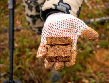 Erkek eller eski demir parçalarını toprağı, toprağı, toprağı ve pası temizler. Ormanda arama ve hurda metal ürettikten sonra..