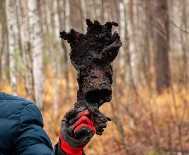 Erkek eller eski demir parçalarını toprağı, toprağı, toprağı ve pası temizler. Ormanda arama ve hurda metal ürettikten sonra..
