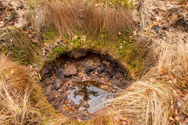 The old non-deep pit from the explosion of bombs or min, filled with water and leaves in the autumn forest, on the old abandoned polygon.