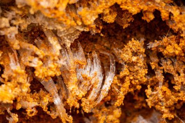 Doku kumu, kabartma yüzeyi, çok renkli katmanlar ve granül büyüklüğünde farklılık, açık hava kum kariyerinde, maden cevheri ve inşaat için kum çıkardıktan sonra. 