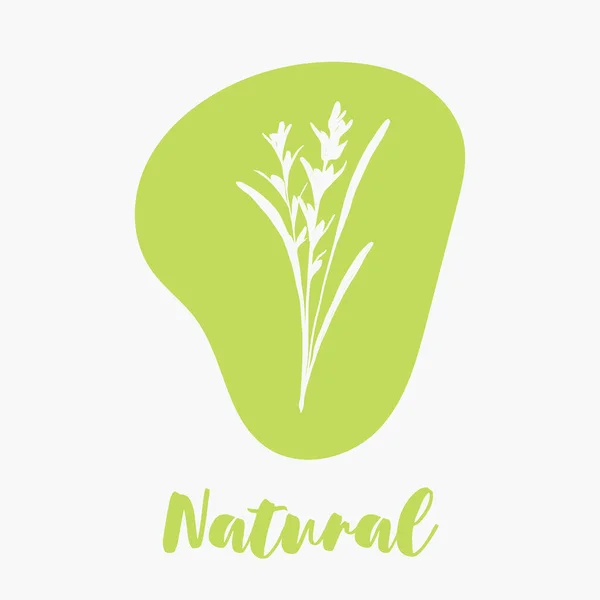 Delicate tangan ditarik logos organik dan ikon untuk ekologi, pasar pangan pertanian, hidup sehat dan restoran makanan lokal atau label kosmetik organik. - Stok Vektor