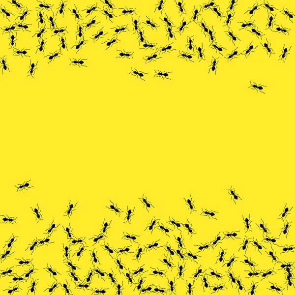 Ant trail background. Concepto de trabajo en equipo de la colonia de hormigas. Grupo de insectos aislados. — Vector de stock