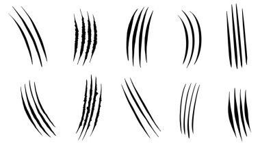 Kara Pençe hayvan tırmalama seti. Tider ya da kedi pençesi tırmalama izleri. Vahşi hayvan tırmık tasarım elementi.