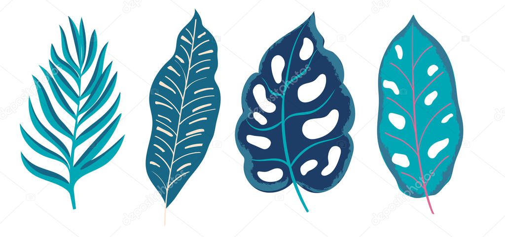 Tropical Leaves hand drawn flat illustration. Paradise flora design elements. Vector illustration