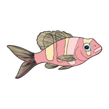 El çizimi resif tropikal balıklar. Deniz ve Okyanus Hayvanları Vektör Clop sanatı. Vektör illüstrasyonu